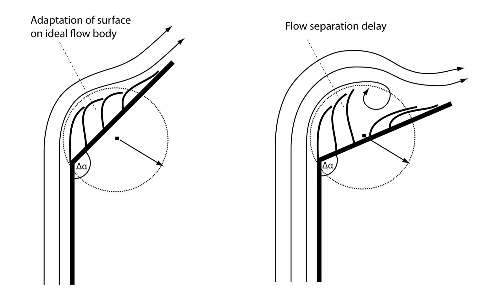 The aeroflexible principle: surface adaptation on the flow body, and delayed flow separation